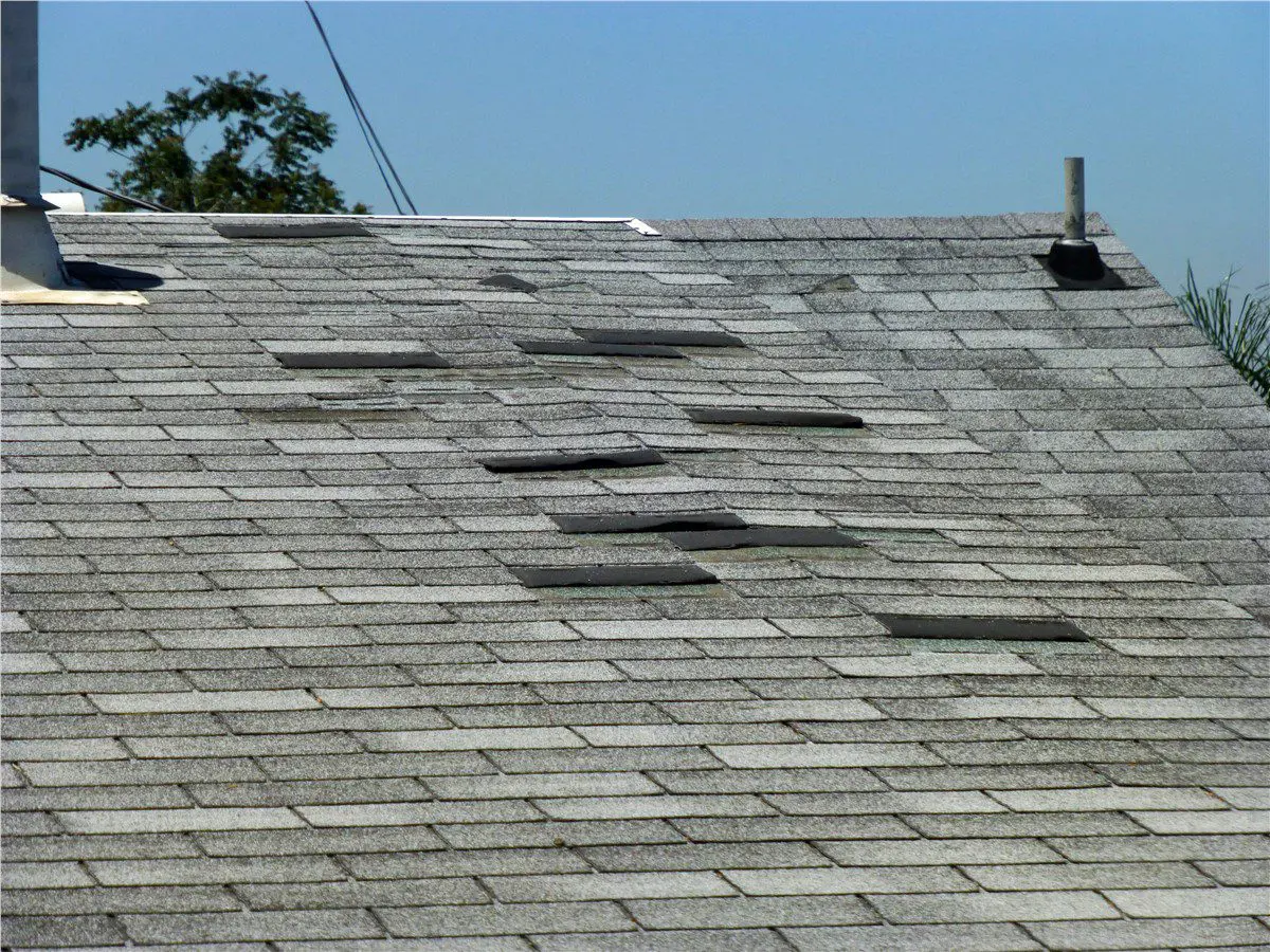 asphalt shingles lifting from a roof